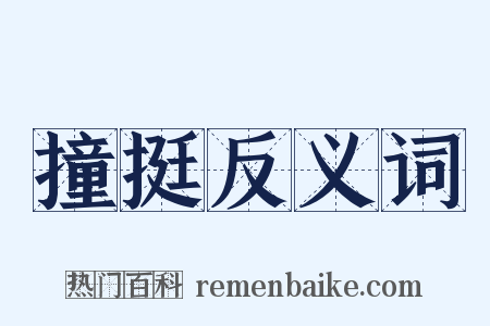 撞挺反义词是什么意思的图片